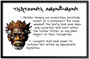 13th amendment poster